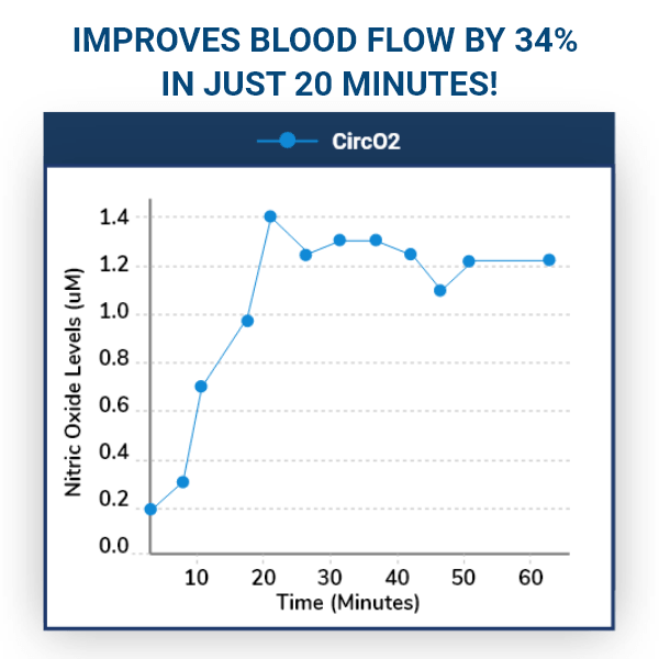 How nitric oxide supports normal blood vessel function and circulation
